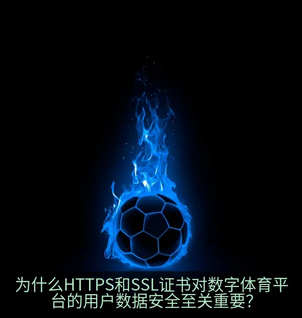 为什么HTTPS和SSL证书对数字体育平台的用户数据安全至关重要？